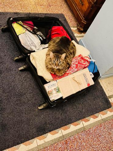 038-a-glimpse-of-eva-di-pierro