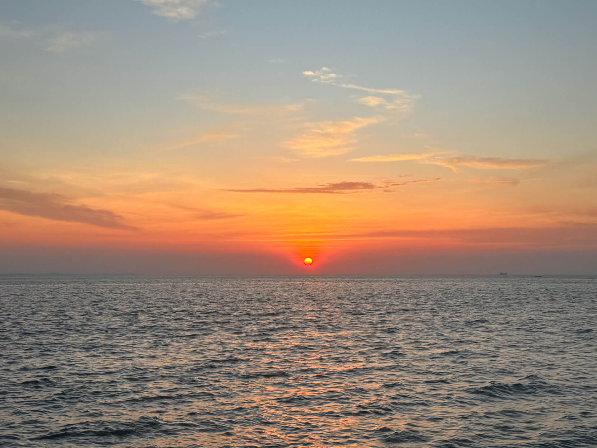 Eva-di-pierro-in-person-programs eva-di-pierro-in-person-programs