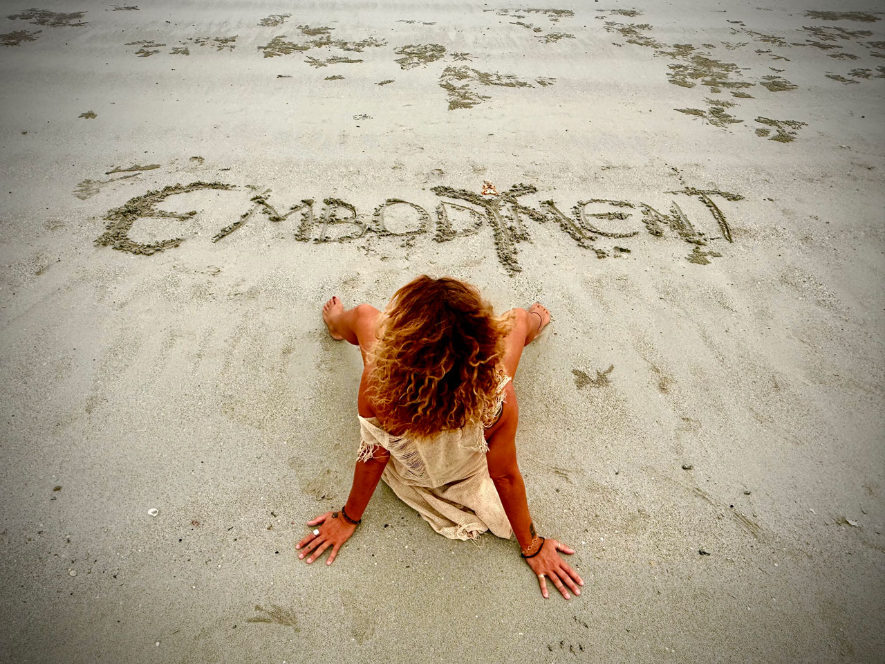 Eva-di-pierro-professional-background eva-di-pierro-professional-background