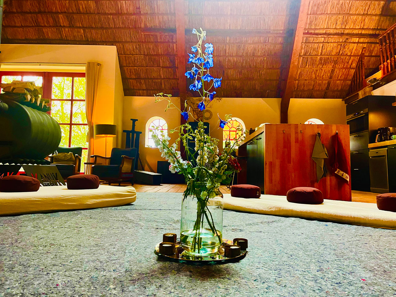 eva-di-pierro-training-banner