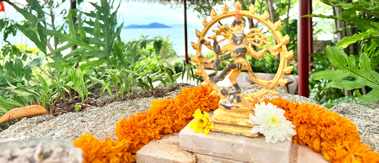 eva-di-pierro-upcoming-events-banner