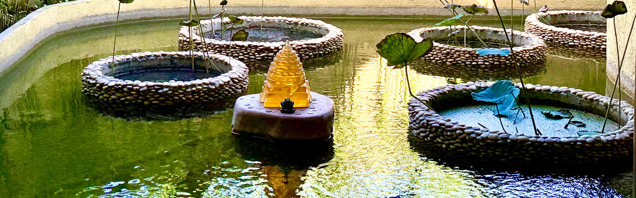 eva-di-pierro-watch-and-listen-banner