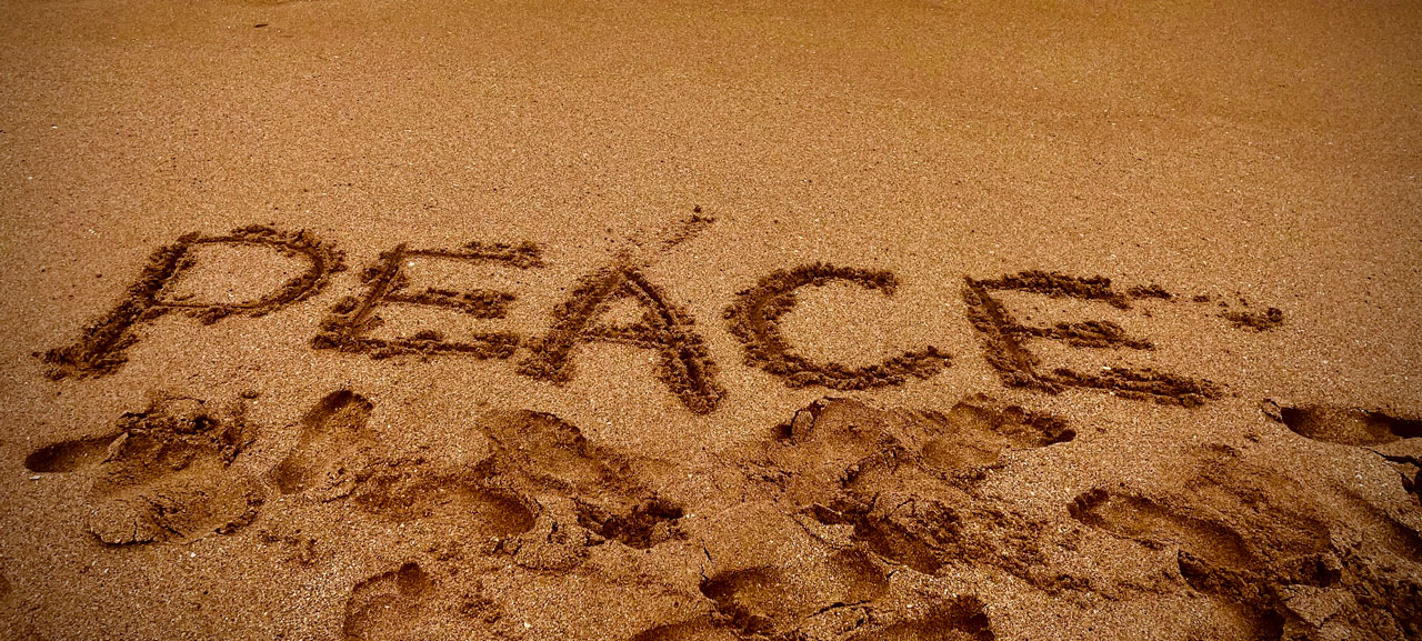 Eva-di-pierro-what-i-do-banner eva-di-pierro-what-i-do-banner