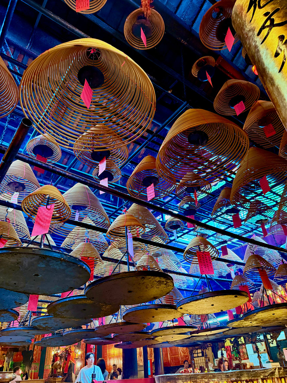 eva-di-pierro-video-trauma